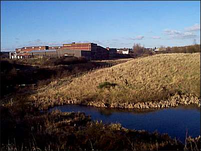 Photo taken behind the pool, the bed of the branch canal is between the pool and the bakery