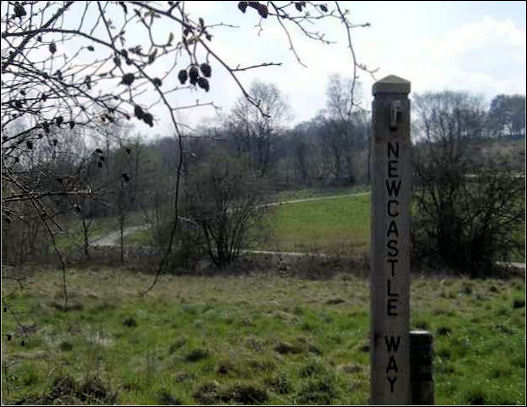 Newcastle Way Marker Post