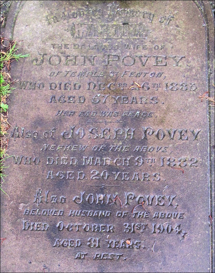 Martha, John and Joseph Povey of Fenton