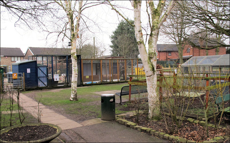 the aviaries at City Farm, Bucknall Park