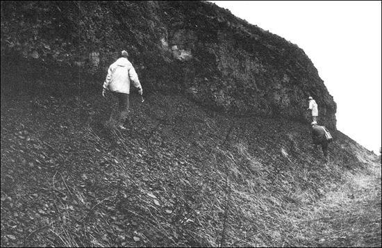 Contact between Newcastle and Etruria formations at Metallic Tileries