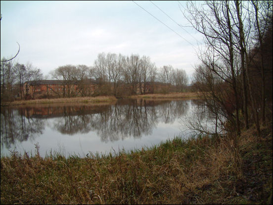 looking across Manorfield Pool