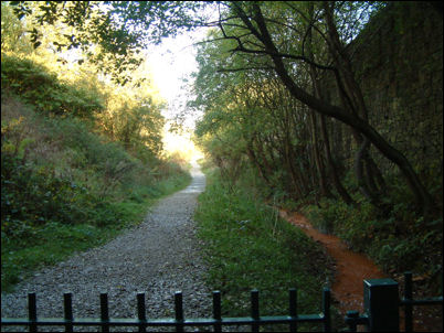 looking out of the Birchenwood Tunnel - towards Pitts Hill