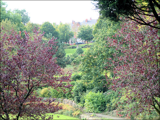 Originally the carriageway through the park and the 'Fernery'  