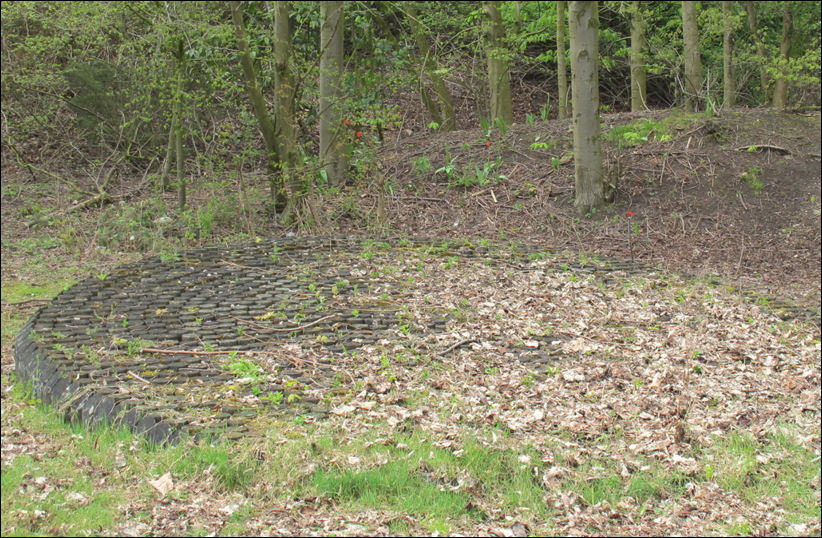 remnant of the wood circle with a few natural flowers in the undergrowth 