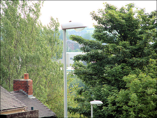 a glimpse of Wedgwood's house from Fowlea Bank