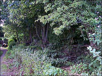 The remains of the old footpath