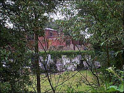 The view of the Jewish Cemetery through the wood