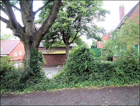 the back of the houses on Marsh Parade - where the Junction Canal ran