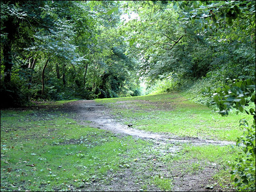 the route of the Junction Canal